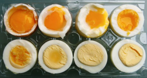 煮蛋达人教你如何烹饪不同效果的鸡蛋